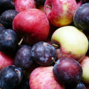 Fresh Plum Fragrance Oil ~ For Candle, Soap, Lotion, Bath & Body & Crafts