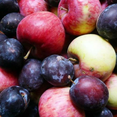 Fresh Plum Fragrance Oil ~ For Candle, Soap, Lotion, Bath & Body & Crafts