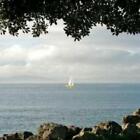 A&F Woods (dupe) Fragrance Oil ~ For Candle, Soap, Lotion, Bath & Body & Crafts