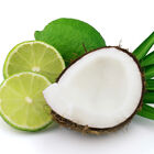 Coconut Lime Fragrance Oil ~ For Candle, Soap, Lotion, Bath & Body & Crafts
