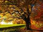 Autumn Sunset (dupe) Fragrance Oil ~ For Candle, Soap, Lotion, Bath & Body