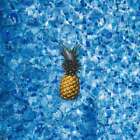 Iced Pineapple Fragrance Oil ~ For Candle, Soap, Lotion, Bath & Body & Crafts