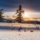 Fresh Sparkling Snow (dupe) Fragrance Oil ~For Candle, Soap, Lotion, Bath & Body