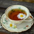 Chamomile (dupe) Fragrance Oil ~ For Candle, Soap, Lotion, Bath & Body & Crafts