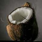 Coconut Lime Verbena (dupe) Fragrance Oil ~For Candle, Soap, Lotion, Bath & Body