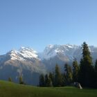 Fresh & Clean Fragrance Oil ~ For Candle, Soap, Lotion, Bath & Body & Crafts