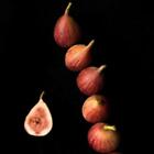 Fig Fragrance Oil ~ For Candle, Soap, Lotion, Bath & Body & Crafts