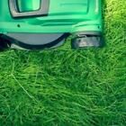 Fresh Cut Grass Fragrance Oil ~ Candle, Soap, Lotion, Bath & Body & Crafts