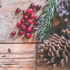 Cranberry Pine Fragrance Oil ~ For Candle, Soap, Lotion, Bath & Body & Crafts