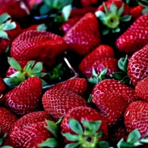 Fresh Strawberry Fragrance Oil ~ Candle, Soap, Lotion, Bath & Body & Crafts