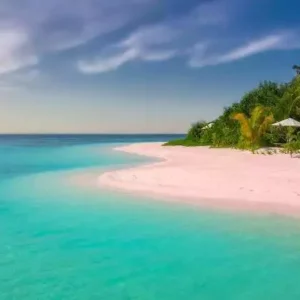 Caribbean Escape (dupe) Fragrance Oil ~ For Candle, Soap, Lotion, Bath & Body