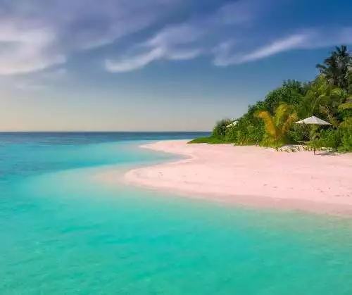 Caribbean Escape (dupe) Fragrance Oil ~ For Candle, Soap, Lotion, Bath & Body