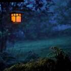 Midsummer’s Night (dupe) Fragrance Oil ~ For Candle, Soap, Lotion, Bath & Body