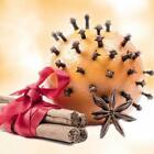 Orange Clove Fragrance Oil ~ For Candle,Soap,Lotion, Bath & Body & Crafts