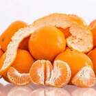 Orange Zest Fragrance Oil ~ For Candle, Soap, Lotion, Bath & Body & Crafts