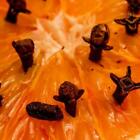 Orange Spice Fragrance Oil ~ For Candle, Soap, Lotion, Bath & Body & Crafts