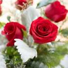 Rose Jasmine Fragrance Oil ~ For Candle, Soap, Lotion, Bath & Body & Crafts