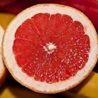 Pink Grapefruit (dupe) Fragrance Oil ~ For Candle, Soap, Lotion, Bath & Body
