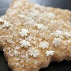 Sugar Cookie Fragrance Oil ~ For Candle, Soap, Lotion, Bath & Body & Crafts