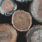 Teakwood Fragrance Oil ~ For Candle, Soap, Lotion, Bath & Body & Crafts