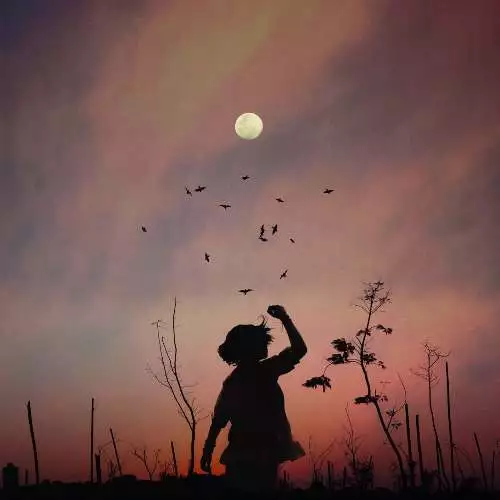 Luna (dupe) Fragrance Oil ~ For Candle, Soap, Lotion, Bath & Body & Crafts