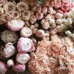 Victorian Rose Fragrance Oil ~ For Candle, Soap, Lotion, Bath & Body & Crafts