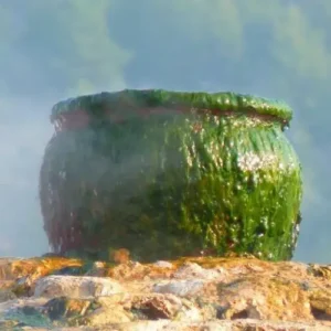 Witches Brew (dupe) Fragrance Oil ~ For Candle, Soap, Lotion, Bath & Body