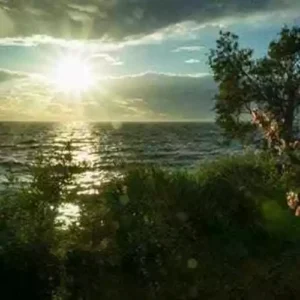 Seaside Fragrance Oil ~ For Candle, Soap, Lotion, Bath & Body & Crafts