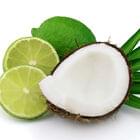 Coconut Lime Fragrance Oil for Candle, Soap, Lotion, Bath & Body