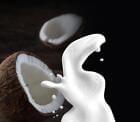Coconut Bay Dupe Fragrance Oil for Candle, Soap, Lotion, Bath & Body