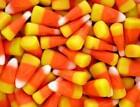 Candy Corn Dupe Fragrance Oil for Candle, Soap, Lotion, Bath & Body