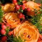Citrus Rose Fragrance Oil for Candle, Soap, Lotion, Bath & Body