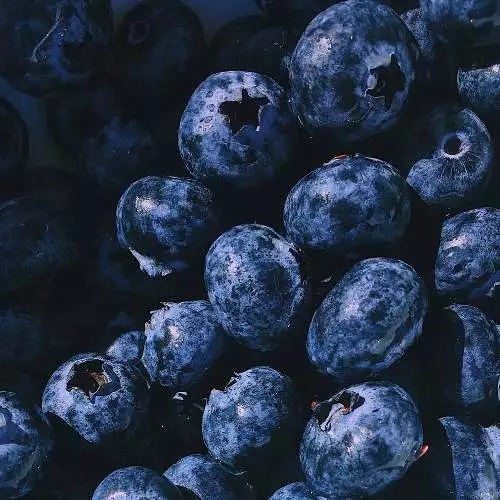Blueberry Dupe Fragrance Oil for Candle, Soap, Lotion, Bath & Body