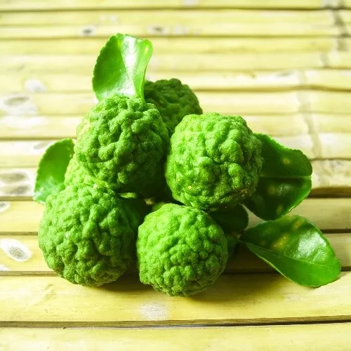 Bergamot Fragrance Oil for Candle, Soap, Lotion, Bath & Body