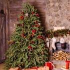 Christmas Tree Dupe Fragrance Oil for Candle, Soap, Lotion, Bath & Body