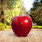Macintosh Apple Dupe Fragrance Oil for Candle, Soap, Lotion, Bath & Body & Crafts